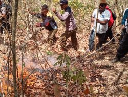 Wabup Flores Timur Pimpin ASN Memadamkan Kebakaran Hutan Ile Mandiri