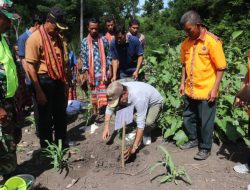Warga Desa Naitae Tanam Lamtoro Teramba Dan Kelor Seluas 25 Hektar.