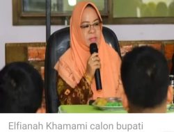 Calon Bupati Perempuan ini Janjikan Masuk Surga untuk Pemilihnya saat Kampanye