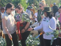 Delegasi Senator Amerika, Perwakilan PBB dan IFAD Pantau Program READSI di Kabupaten Kupang 