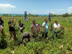 Andre Garu Blusukan di Desa Bone, Warga: Pemimpin Harus Seperti Ini