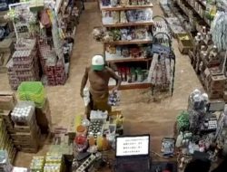 Palak di Toko Bangkok Jaya Oebufu, Polce Seorang Preman di Kota Kupang Diringkus Jatanras