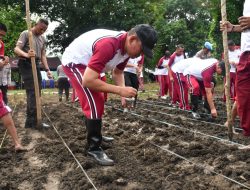 Dukung Ketahanan Pangan, Ditsamapta Polda NTT Sulap 3 Hektar Lahan Tidur Jadi Lahan Produktif