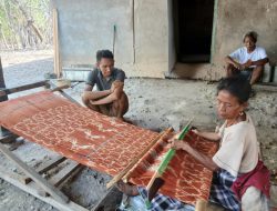 Lestarikan Budaya Tenun Ikat Sumba, PLN Bantu Peralatan Tenun Untuk Kelompok Tenun  