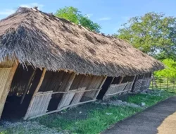 Memprihatinkan : Gedung SDN Manune di Kabupaten TTU Nyaris Roboh, Siswa Terpaksa Belajar di Teras