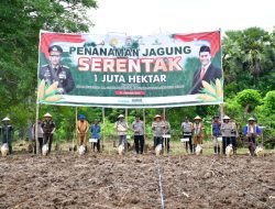 Swasembada Pangan 2025 : Kapolda NTT Pimpin Penanaman Jagung Serentak di TTU
