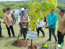 Wujudkan Program Satu Juta Pohon, Menteri Kehutanan Raja Juli Antoni Tanam Pohon di Kupang, NTT
