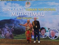 Akibat Cuaca Ekstrem dan Lonjakan Hipotermia Taman Nasional Mutis Timau Ditutup Sementara