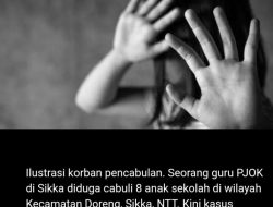 BREAKING NEWS : Cabuli 8 Muridnya KAR Guru Olahraga SD Wolonterang Kabupaten Sikka Ditahan Polisi