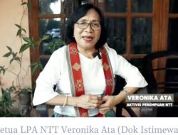 Surat Terbuka untuk Kapolda NTT: Bedah Pasal Hukuman eks Kapolres Ngada