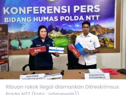 Waduh ! Peredaran Rokok Ilegal Marak Merambah NTT, Polda Sudah Sita 5.927 bungkusdi 9 Kabupaten