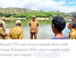 Waduh ! Pemkab TTU Segel Tambak Ikan Warga Kabupaten Belu Karena Tunggak Pajak Rp864 Juta