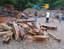 Bukti Baru Kasus Illegal Logging di TTU Ungkap Keterlibatan Pengusaha dan Oknum Polisi
