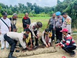 Kapolres Malaka Tanam Sayur Bersama Petani: Wujud Nyata Dukung Ketahanan Pangan Nasional