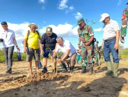 Tanam 1.000 Mangrove, Sabu Raijua Gaungkan Komitmen Lindungi Pesisir
