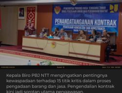 Adelino Da Cruz Soares Tegaskan : Ada 15 Titik Kritis Wajib Diwaspadai dalam Pengadaan Barang dan Jasa