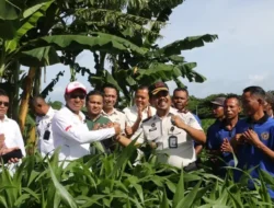 Wagub NTT Tinjau Kebun Produktif di Lapas Kelas II A Kupang