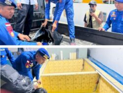 Ditpolairud Polda NTT Selamatkan Penyu Sisik di Perairan Labuan Bajo