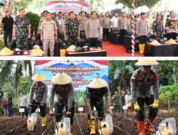 Dukung Asta Cita Presiden RI, Polda NTT Perluas Akselerasi Swasembada Pangan Tanam Jagung di Taebenu
