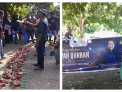 Julie Laiskodat Salurkan Sapi Kurban Iduladha untuk Warga Nubalema Adonara Tengah