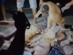 Pencuri Anjing di Oelnaibesi Desa Oeteta Babak Belur Dihajar Massa