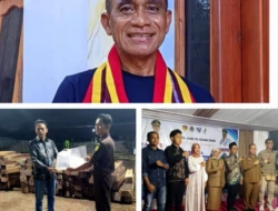 WALHI NTT Desak Pemerintah dan APH Usut Tuntas Dugaan Peredaran Kayu Sonokeling Ilegal di TTU