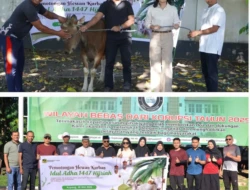 Kejati NTT Sembelih 7 Ekor Sapi Kurban pada Idul Adha 1447 H, Wujud Kepedulian dan Toleransi
