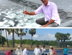 Marthen Dira Tome dan Mimpi Menjadikan NTT Koridor Industri Garam Nasional