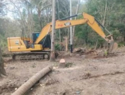 TNI Bangun Jembatan Garuda, Permudah Petani Takari Pasarkan Hasil Panen dan Akses Pendidikan