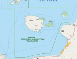 Pembangunan Vila dan Galangan Kapal di Wairterang Dipersoalkan, WALHI NTT Minta KLHK Turun Tangan