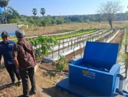 Sumur Bor JIAT Dorong Produktivitas Petani Kota Kupang, Panen Tak Lagi Bergantung Musim