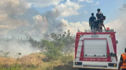 Bandara El Tari Kupang Sigap Tangani Kebakaran, Delapan Penerbangan Berlangsung Tanpa Gangguan