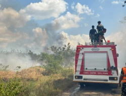 Bandara El Tari Kupang Sigap Tangani Kebakaran, Delapan Penerbangan Berlangsung Tanpa Gangguan