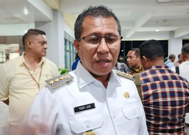 Bupati Lede