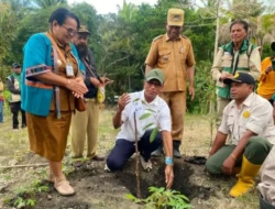 Bibit Durian, Traktor, dan Pupuk Hadir di Desa Hoi, Usman Husin Dorong Kebangkitan Ekonomi Jemaat
