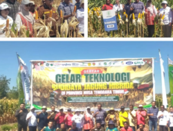 Dari Lahan Kering, NTT Bangun Sentra Jagung dan Bawang Merah Berbasis Teknologi