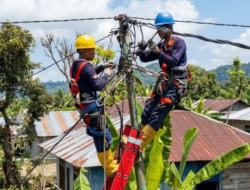 54 Keluarga di Watu Mori Segera Terang, Jaringan Listrik 3,17 Km Tuntas Diuji PLN