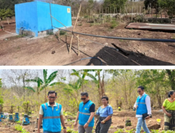 Bukan Sekadar Listrik! PLN Sulap Lahan Gersang Hoder Jadi Ladang Harapan dan Pangan